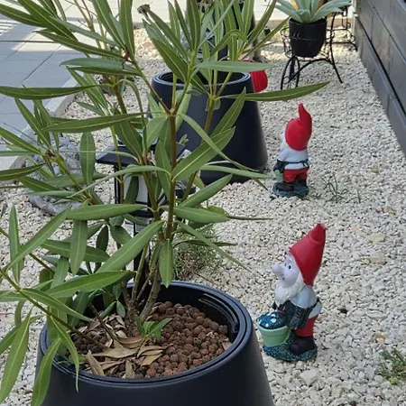 营地 Mobile Veronika *