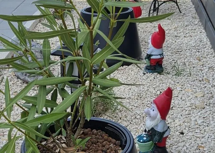 Kemping Mobile Veronika *